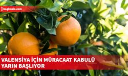 Cypfruvex Valensiya için müracaat kabulüne yarın başlıyor