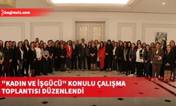 "Kadın ve İşgücü" konulu çalışma toplantısı düzenlendi