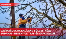 Gazimağusa’da Kaliland bölgesi ağaç budaması nedeniyle trafiğe kapatılacak