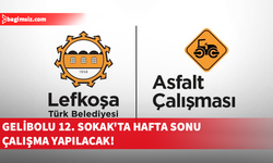 Gelibolu 12. Sokak'ta asfalt çalışması yapılacak