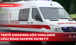 Trafik kazasında ağır yaralanan 70 yaşındaki Oğuz Bidar hayatını kaybetti