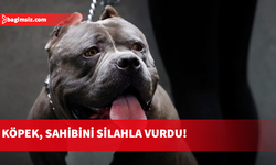 ABD'de patisi tetiğe takılan köpek sahibini vurdu