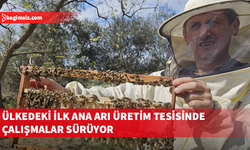 Mersinlik’teki ana arı üretim tesisinde çalışmalar sürüyor