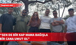 CTP Gençlik Örgütü Girne İlçesi’nden barınaklara mama desteği