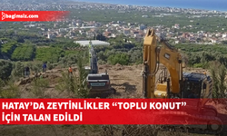Hatay Samandağ’da tarım ve bahçe arazileri “toplu konut” için kamulaştırıldı