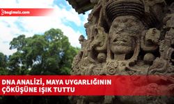 DNA analizi, Maya uygarlığının çöküşüne ışık tuttu