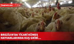 Acil durum ilan edildi
