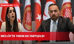 Meclis’te tarım da tartışıldı