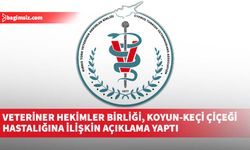 Veteriner Hekimler Birliği, Koyun-Keçi Çiçeği Hastalığına ilişkin açıklama yaptı