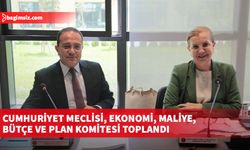 Cumhuriyet Meclisi, Ekonomi, Maliye, Bütçe ve Plan Komitesi toplandı