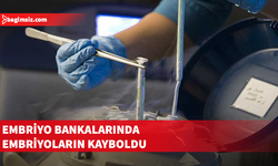 Güney Kıbrıs’ta embriyolar kayboluyor...