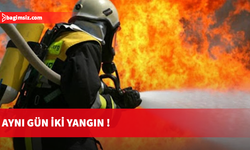 Çamlıköy’deki limon fidanları, İskele-Karpaz ana yolunda araba yandı
