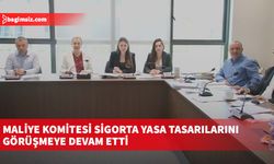 Maliye Komitesi sigorta yasa tasarılarını görüşmeye devam etti