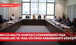 Meclis Maliye Komitesi gündemindeki yasa tasarıları ve yasa gücünde kararnameyi görüştü