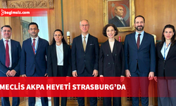 KKTC Milletvekilleri, Avrupa Konseyi Yetkilileriyle Görüştü