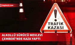 Direksiyon Hâkimiyetini Kaybetti, Levhaya Çarptı