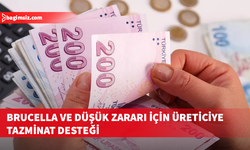 Düşük ve brucella tazminatları ödendi