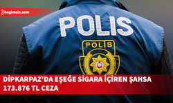 Hür eşeğe sigara veren şahsa 173 bin 876 TL para cezası