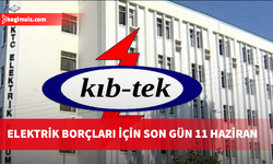 Son Tarih 11 Haziran, Borcunu Ödemeyen Abonenin Elektriği Kesilecek