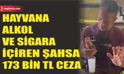 Horozu sigara ve rakı içirtti, cezası ağır oldu: 173 Bin TL ceza