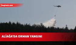 İzmir'de yeniden orman yangını çıktı