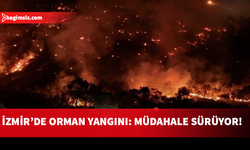 İzmir'de çıkan orman yangını kontrol altına alınamadı