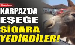 Karpaz’da Eşeğe Sigara Yedirme Görüntüleri Sosyal Medyada Tepki Çekti