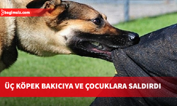 Limasol'da bir kadın ve iki çocuk köpeklerin saldırısına uğradı