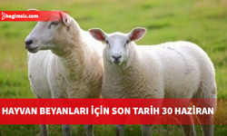 Veteriner Dairesi’nden küçükbaş hayvan üreticilerine beyan uyarısı