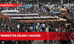 Nijerya'nın Plateau eyaletinde düzenlenen silahlı saldırıda 20 kişi öldü