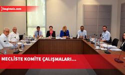 Sabıka Kaydının Silinmesi (Değişiklik) Yasa Önerisi ve Tatil Evleri Yasa Tasarısı komiteden oybirliğiyle geçti