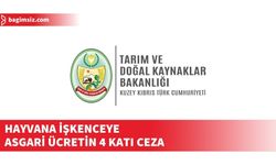 Tarım ve Doğal Kaynaklar Bakanlığı Hayvan Refahı Yasası'na dikkat çekti