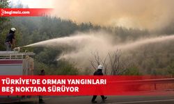 Türkiye'de orman yangınları beş noktada sürüyor