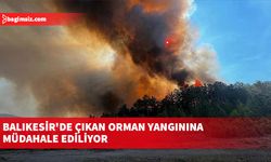 Balıkesir'de çıkan orman yangınına müdahale ediliyor