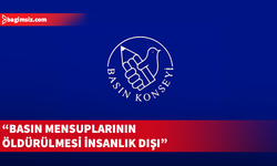 Dünya Basın Konseyleri Birliği basın mensuplarının öldürülmesini kınadı
