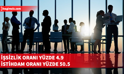 2024 Hanehalkı İşgücü Anketi sonuçları açıklandı