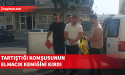 Komşusunun elmacık kemiğini kıran zanlı teminata bağlandı