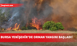 Bursa'da orman yangını...