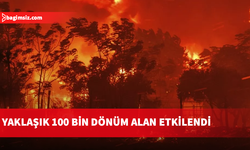Yunanistan orman yangınlarıyla mücade ediyor