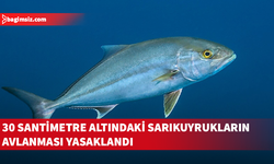 Tarım ve Doğal Kaynaklar Bakanlığı, Mineri/Sarıkuyruk avcılığına dair uyarıda bulundu