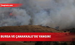 Bursa ve Çanakkale'de alevlerle mücadele sürüyor!