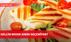 KKTC üretimi hellim hâlâ yeşil hattan geçemiyor