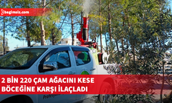 Mesarya Belediyesi çam kese böceğine karşı ilaçlama çalışmalarını tamamladı