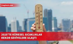 2025'te küresel sıcaklıklar rekor seviyelere ulaştı, birçok bölgede kuraklık yaşanmaya başladı