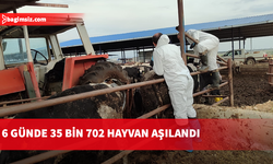 Veteriner Dairesi’nden şap seferberliği