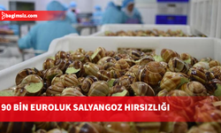 Fransa’da çiftlikten 90 bin euro değerinde salyangoz çalındı