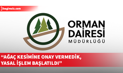 Orman Dairesi’nden Boğazköy’deki ağaç kesimine tepki