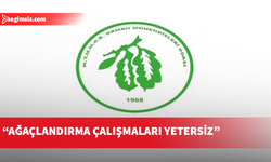 Orman Mühendisleri Odası ağaçlandırmanın artırılması çağrısı yaptı