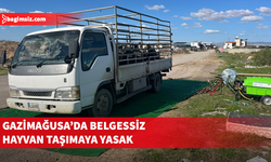 Gazimağusa’da şap hastalığı alarmı