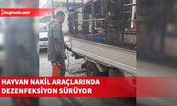 Erenköy-Karpaz Belediyesi, şap hastalığına karşı önlemlere devam ediyor